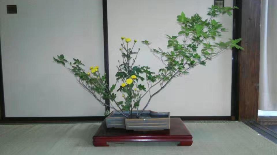Guest House 鎌倉記憶 Kamakura Luaran gambar